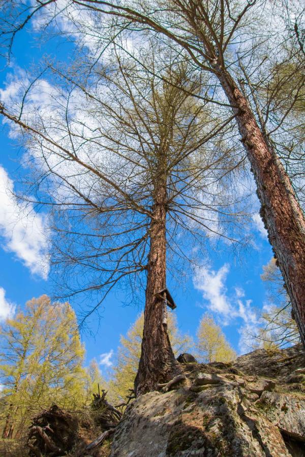 Ferienwohnungen Haus Alte Baeckerei Randa Dış mekan fotoğraf